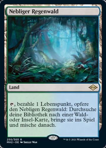 Nebliger regenwald misty - regenwald,