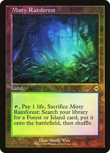 Misty rainforest old - misty,