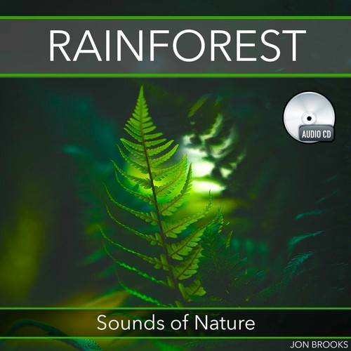 Rainforest sounds nature - rainforest:,