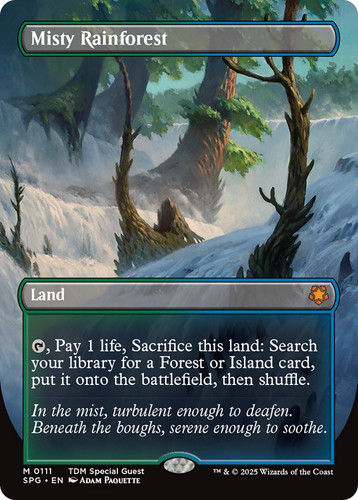 Mtg misty rainforest - misty,