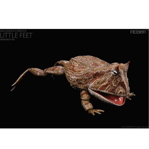 Rebor beelzebufo little feet - rebor,