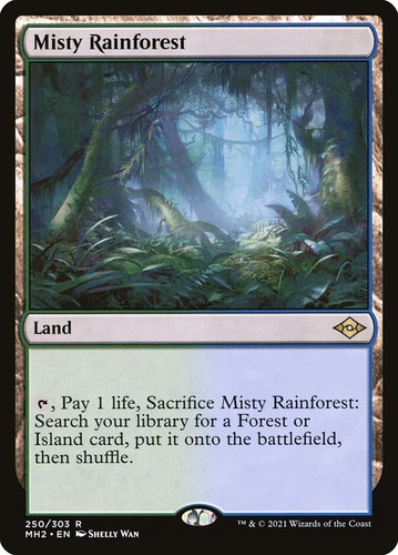 Misty rainforest fetchland - rainforest,