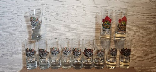 Rainforest cafe shot - rainforest, glasses