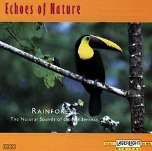 Echoes nature rainforest - nature:,